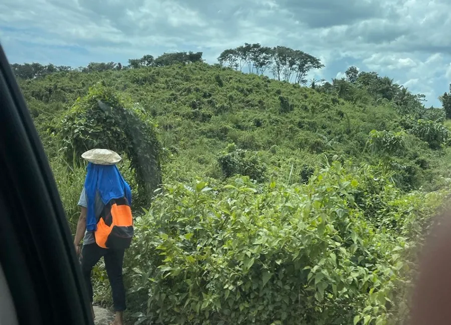For Sale: BARANGAY MACABUD 40 Hectares Rodriguez Rizal