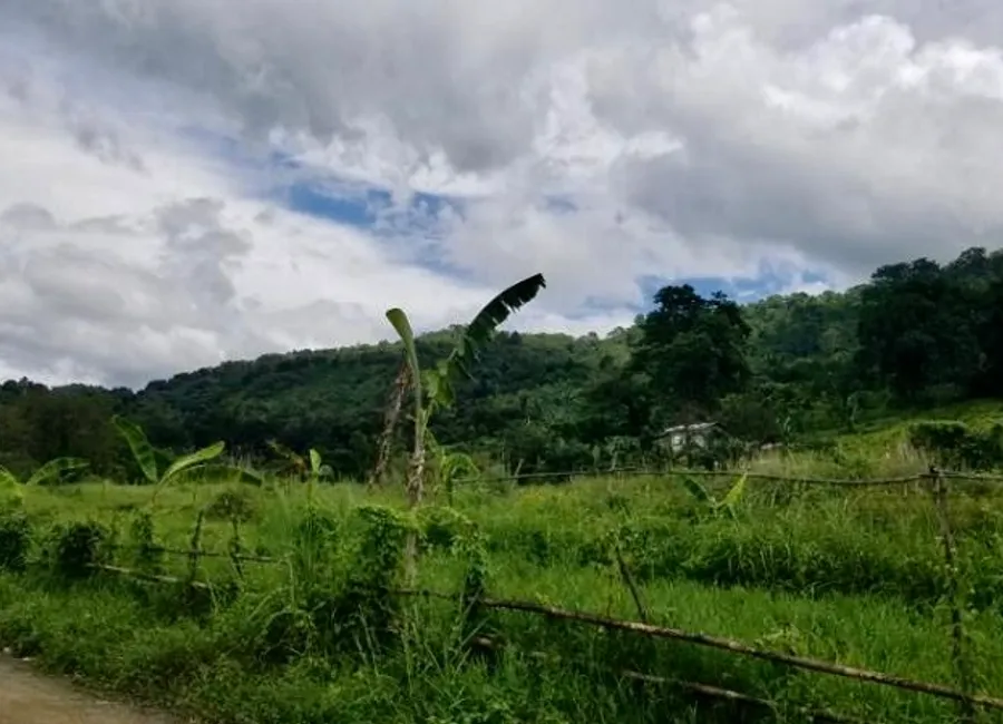 For Sale: BARANGAY MACABUD 40 Hectares Rodriguez Rizal