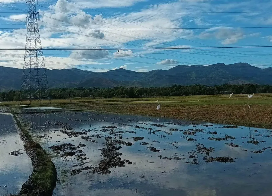 Rush for Sale:20 Hectares of Land in Bugallon, Pangasinan