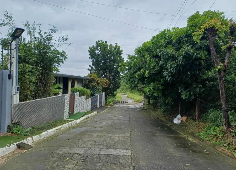 RUSH SALE Residential Lot For Sale in La Montana Estates Subdivision Antipolo City