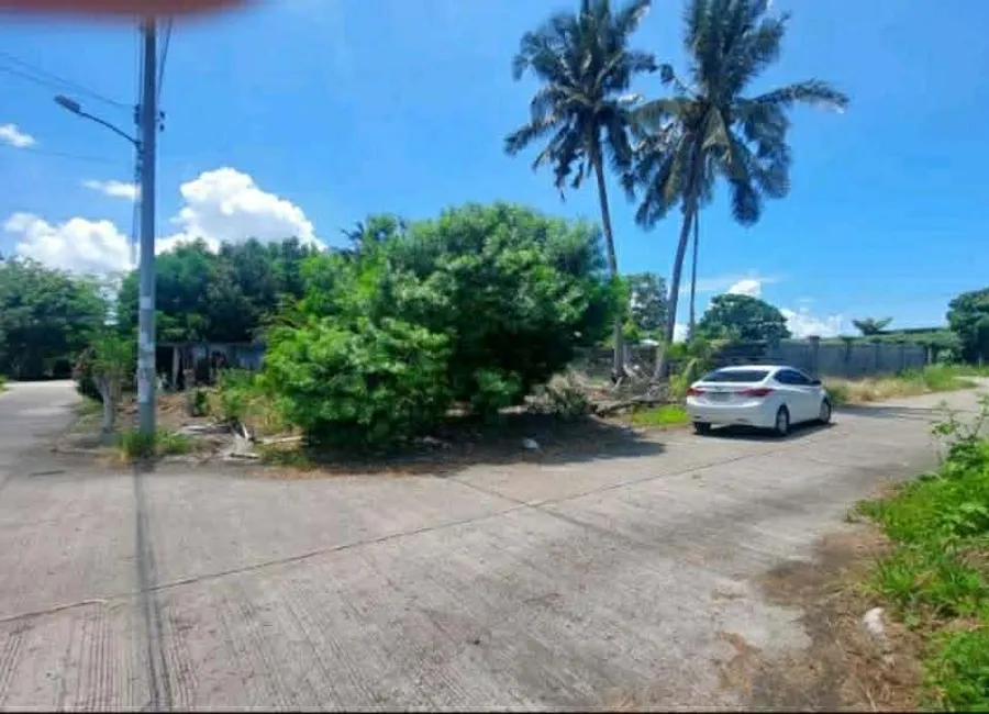 RUSH SALE: Prime Residential Corner Lot Gulfview Executive Homes, Davao City