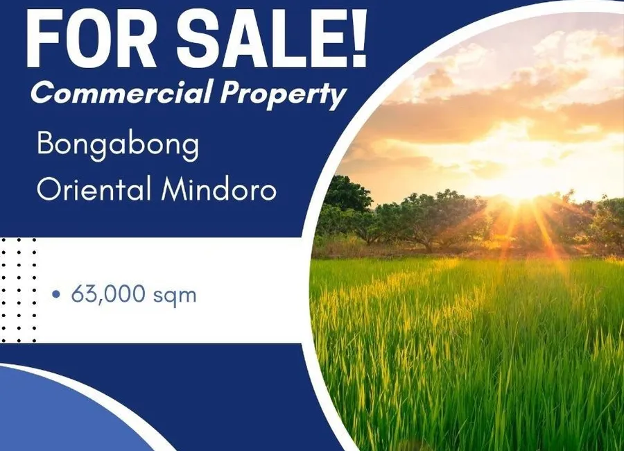 Rice Land Commercial Land for sale in Bongabong Oriental Mindoro