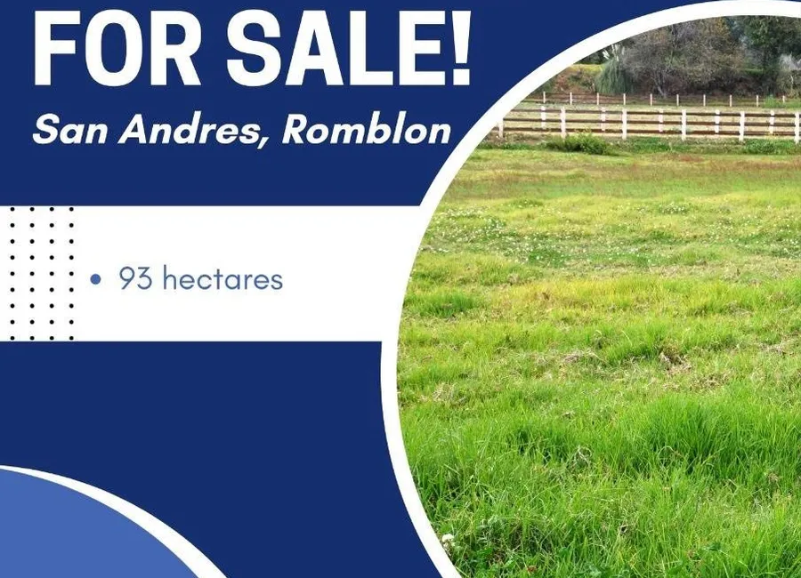 Rush Sale Pasture land in San Andres, Romblon