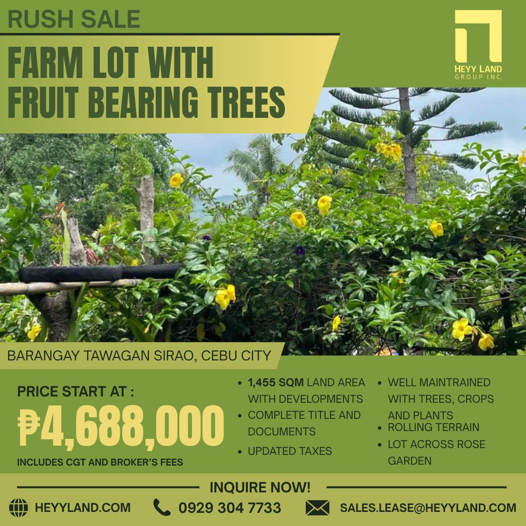 RUSH SALE Farm Lot with Fruit Bearing Trees and Improvements in CEBU CITY